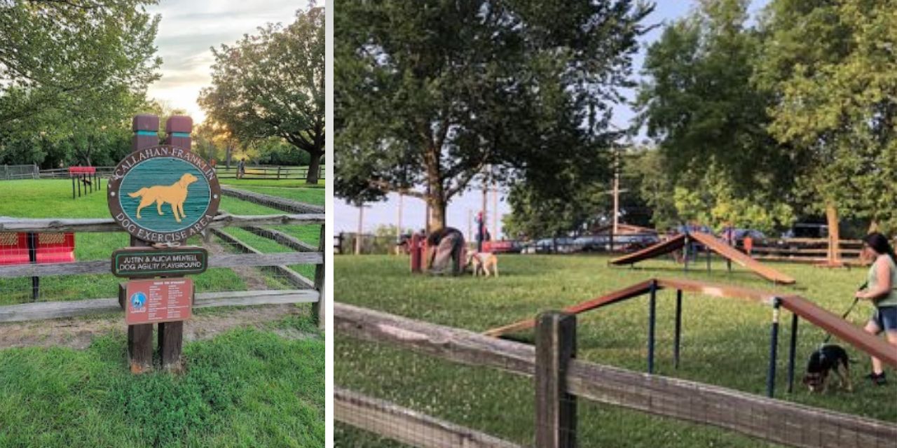 Callahan-Franklin Dog Exercise Area